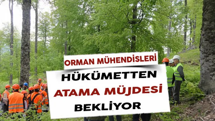 Orman Mühendisleri Hükümetten Atama Müjdesi Bekliyor
