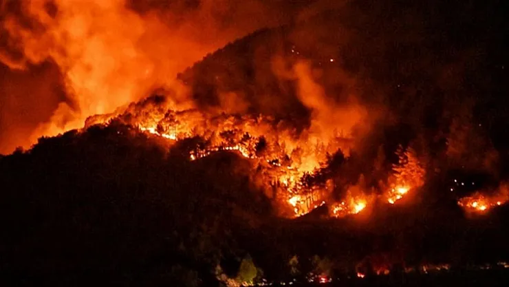 Orman yangınlarında son durum: Felaketi yaşıyoruz