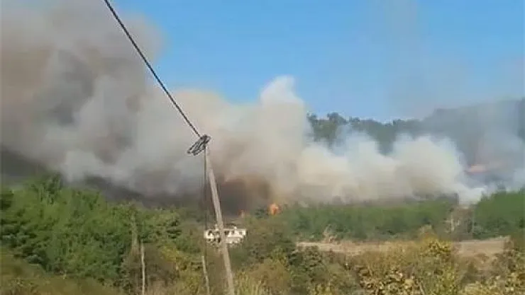 Osmaniye'nin Düziçi ilçesinde orman yangını!