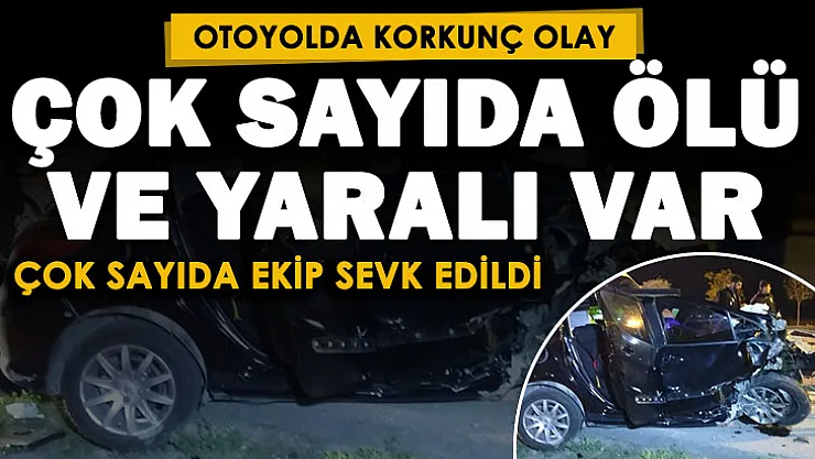 Otoyolda korkunç olay: 1'i çocuk çok sayıda ölü ve yaralı var