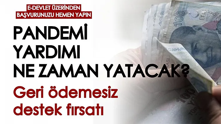 Pandemi sosyal destek ödemeleri ne zaman yatacak? e-Devlet üzerinden hemen başvurunuzu yapın