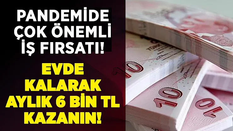 Pandemide evde kalarak aylık 6 bin lira kazanın! Flaş iş fırsatı