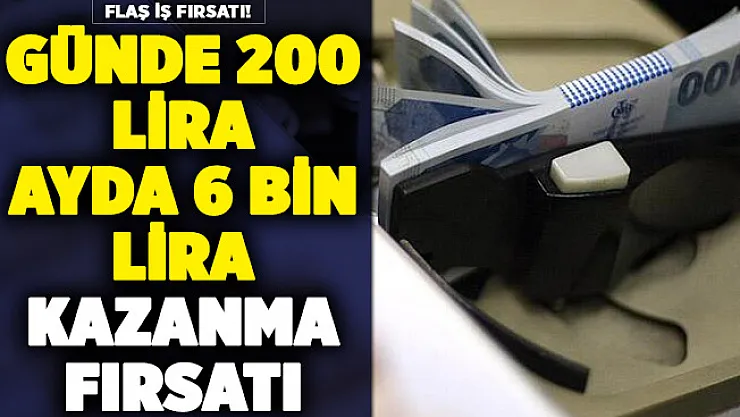 Pandemide flaş iş fırsatı: günde 200 lira, ayda 6 bin lira kazanabilirsiniz