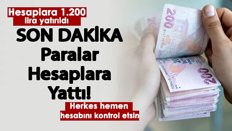 Paralar hesaplara yatırıldı:1.200 lira destek ödemesi yapıldı! Hemen hesabınızı kontrol edin