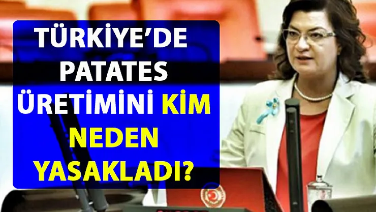 Patates üretimi yasağı! 25 ilde patates ekim yasağı neden getirildi?