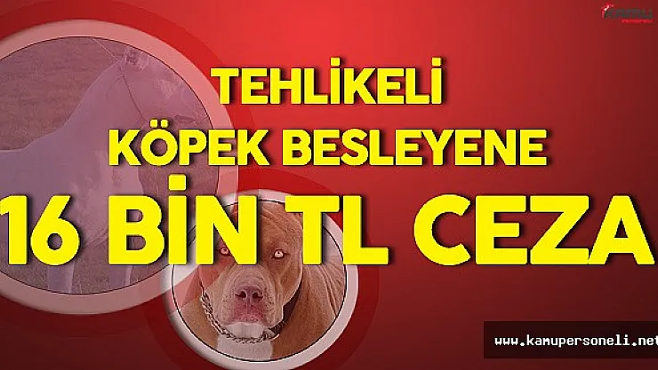 Pitbull ve Dogo Kırması Besleyenler Dikkat ! Para Cezası Alabilirsiniz!
