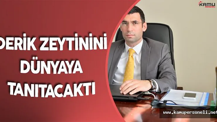 PKK'nın Şehit Ettiği Kaymakam Derik Zeytinini Dünyaya Tanıtacaktı