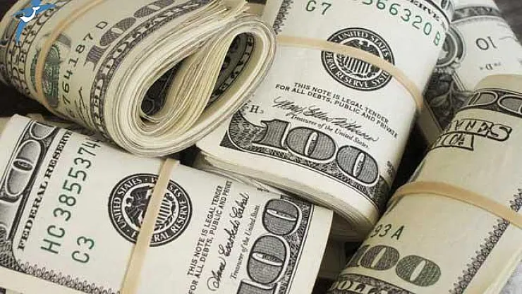 'Rüyada Dolar Görmek' Araması Son Günlerde Yeniden Trend Oldu