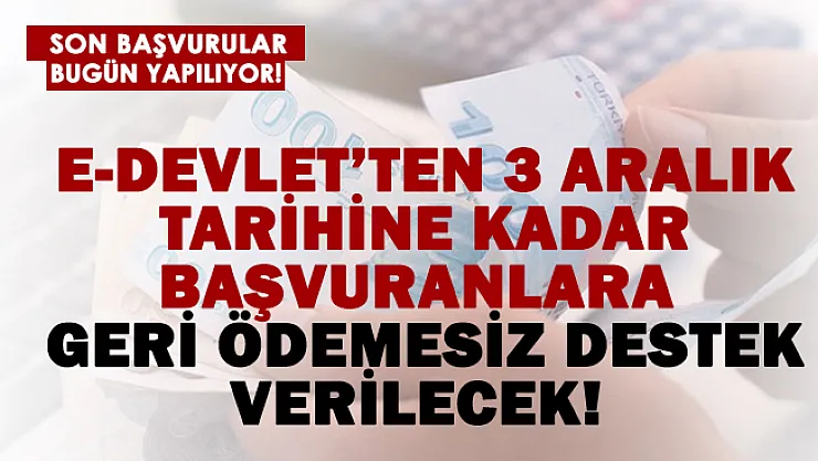 Sadece E-Devlet'ten 3 Aralık'a kadar başvuranlara geri ödemesiz destek verilecek!