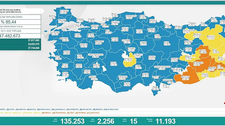 Sağlık Bakanlığı Açıkladı! 15 Kişi Hayatını Kaybetti!