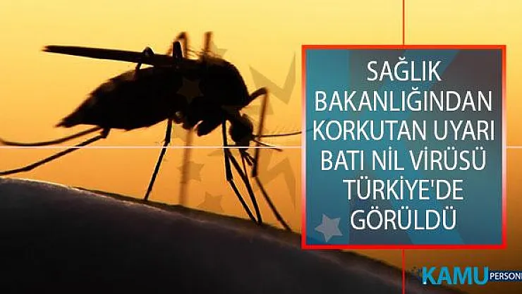 Sağlık Bakanlığından Korkutan Uyarı! Batı Nil Virüsü Türkiye'de Görüldü