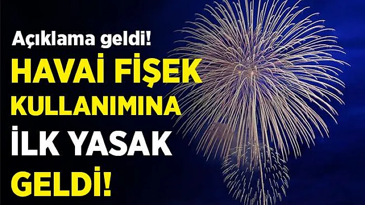 Sakarya'daki facia sonrasında ilk havai fişek yasağı geldi!