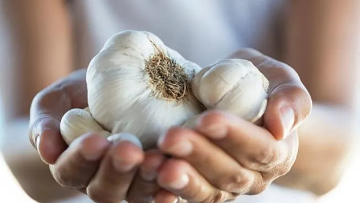 Sarımsağın faydaları saymakla bitmiyor! Sarımsağın faydaları nelerdir? Günde kaç diş sarımsak tüketmek gerekiyor?