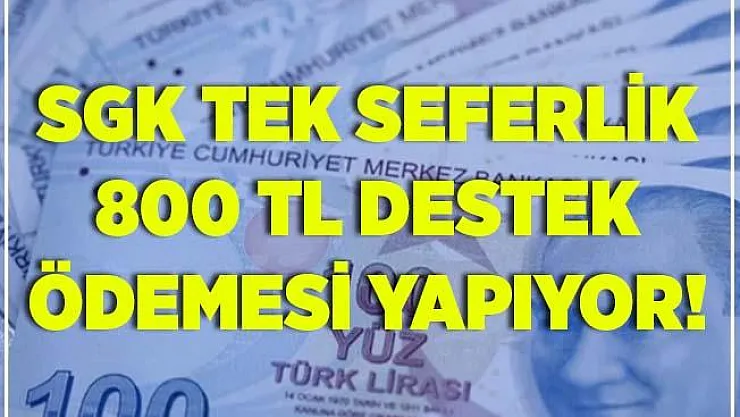 SGK duyurdu! Sigorta girişi olanların yakınlarına tek seferlik 800 TL ödeme yapılacak!