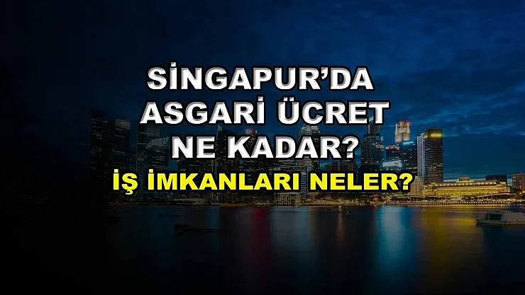 Singapur'da Asgari Ücret Ne Kadar? İş İmkanları Neler?