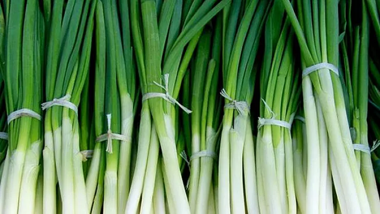 Soğan Tohumuna Bir Haftada Yüzde 100 Zam