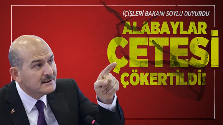 Son dakika Alabaylar Çetesi çökertildi!