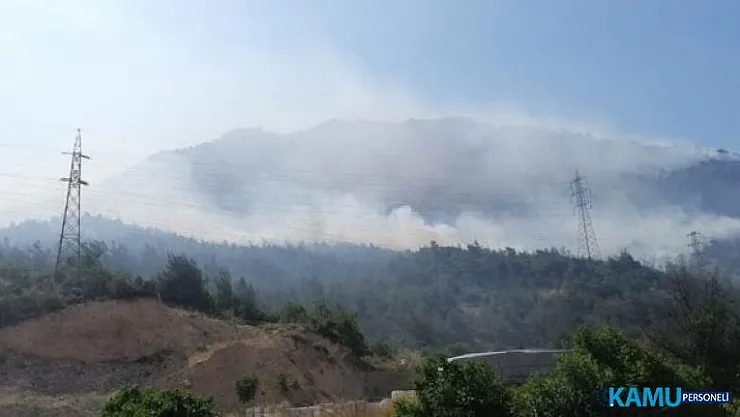 Son dakika... Bilecik'te korkutan yangın! 7 arazöz ve 3 helikopterle müdahale ediliyor