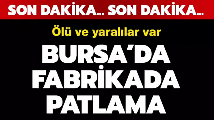 Son dakika! Bursa'da fabrikada patlama oldu: Ölü ve yaralılar var