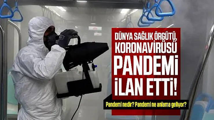 Son dakika Dünya Sağlık Örgütü, koronavirüsü pandemi ilan etti! Pandemi nedir? Pandemi ne anlama geliyor?