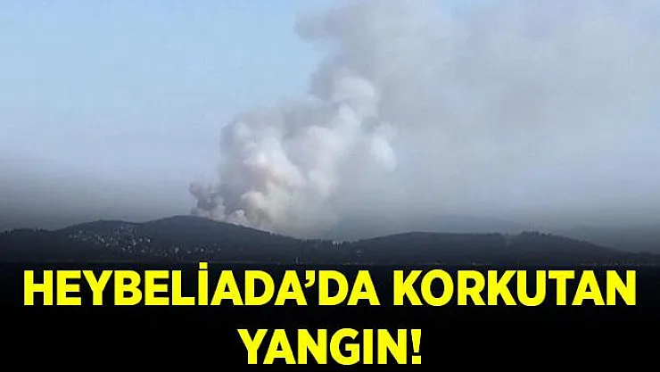 Son dakika Heybeliada'da korkutan orman yangını!