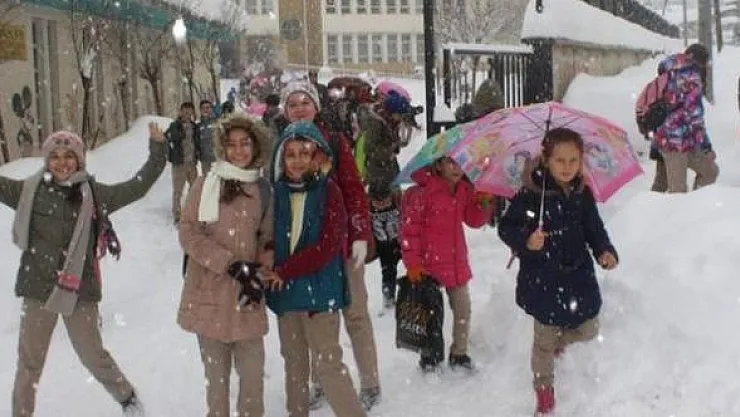 Son dakika iki ilde daha okullar tatil edildi!