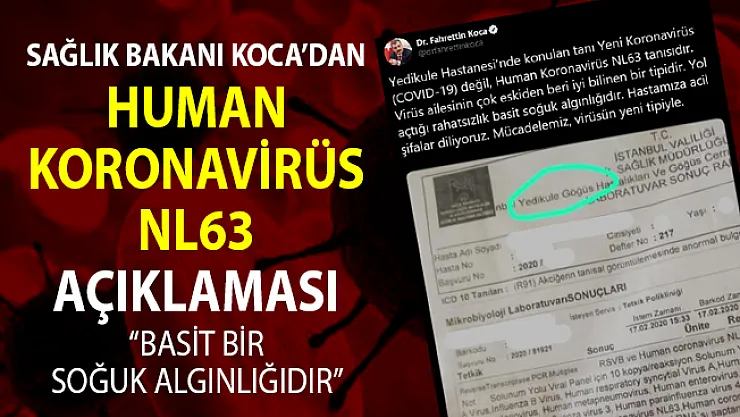 Son dakika İstanbul'da corona virüsü NL63 tespiti hakkında Sağlık Bakanı Koca'dan açıklama geldi: Basit bir soğuk algınlığıdır.