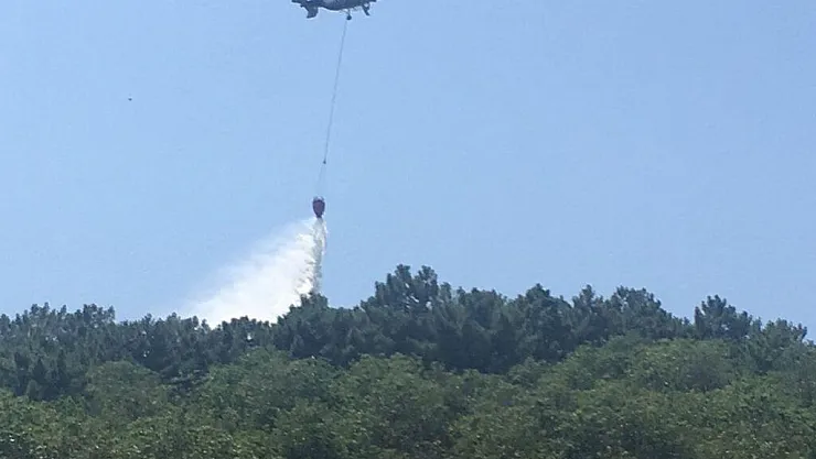 Son dakika İstanbul'da orman yangını!