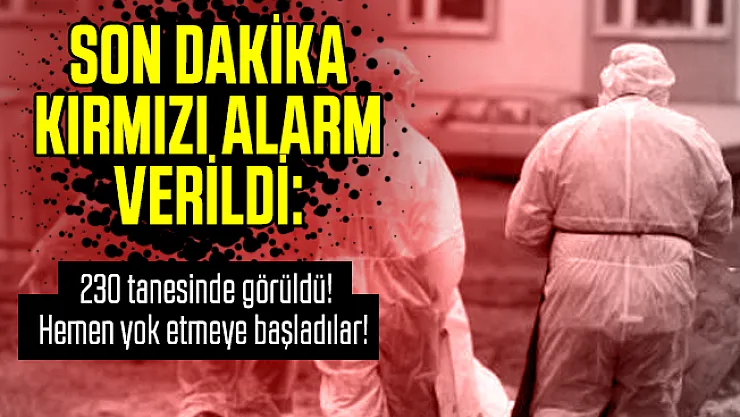 Son dakika kırmızı alarm verildi: 230 tanesinde görüldü! Hemen yok etmeye başladılar!