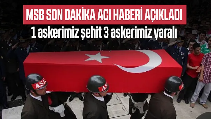 Son dakika MSB'den acı haber! 1 Askerimiz şehit oldu