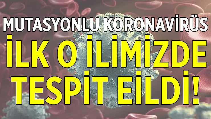 Son dakika Mutasyonlu koronavirüs ilk bu ilimizde tespit edildi!