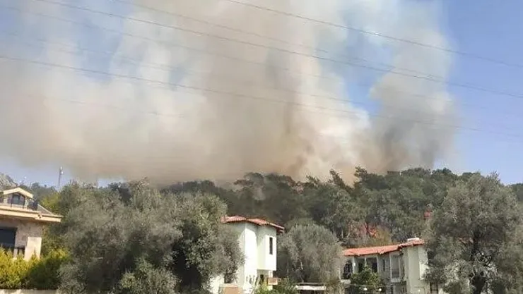 Son dakika orman yangınları yine mi başladı! Fethiye'de orman yangını başladı: Çalışmalar sürüyor