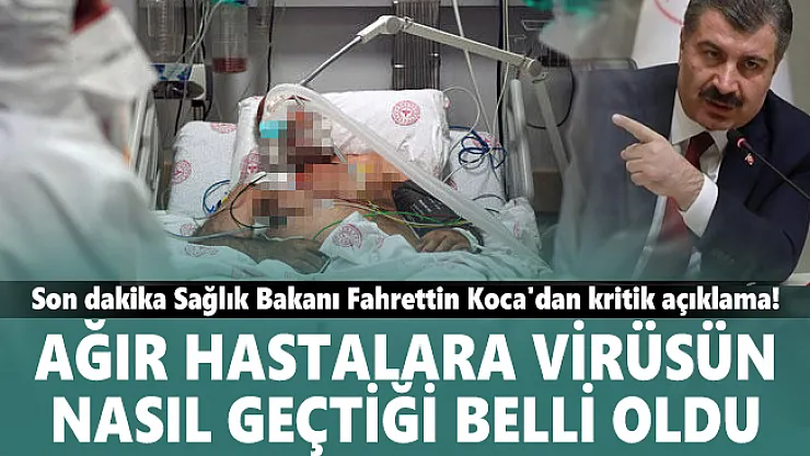 Son dakika Sağlık Bakanı Fahrettin Koca'dan kritik açıklama! Ağır hastalara virüsün nasıl geçtiği belli oldu