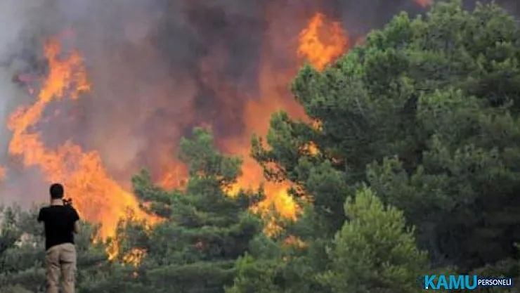 Son dakika!.. Sarıyer Ayazağa Yeni Mezarlık Mevkii'nde ormanlık alanda yangın çıktı