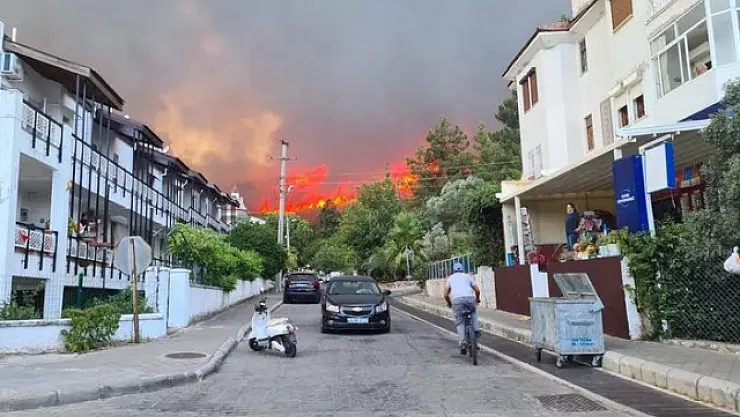 Son dakika şimdi de Muğla Marmaris'te orman yangını çıktı! Yerleşim yerine yaklaştı!