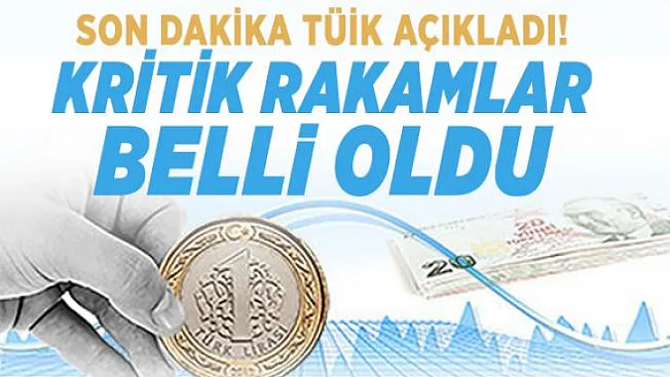 Son dakika TÜİK açıkladı! Temmuz ayı kritik rakamlar belli oldu