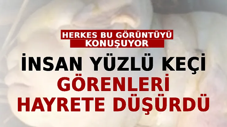 Sosyal Medya Bu Görüntüyü Konuşuyor! İnsan Yüzlü Keçi Görenleri Hayrete Düşürdü