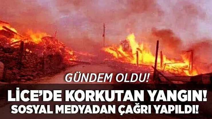 Sosyal medyada gündem oldu! Lice'de korkutan yangın! Vatandaşlar sosyal medyadan yardım istiyor!