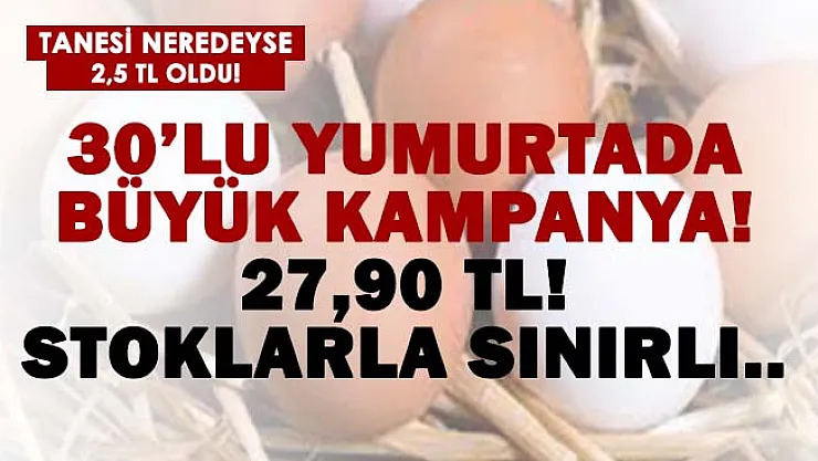 Stoklarla sınırlı! Yumurtada büyük kampanya! 30'lu yumurta sadece 27,90 TL!