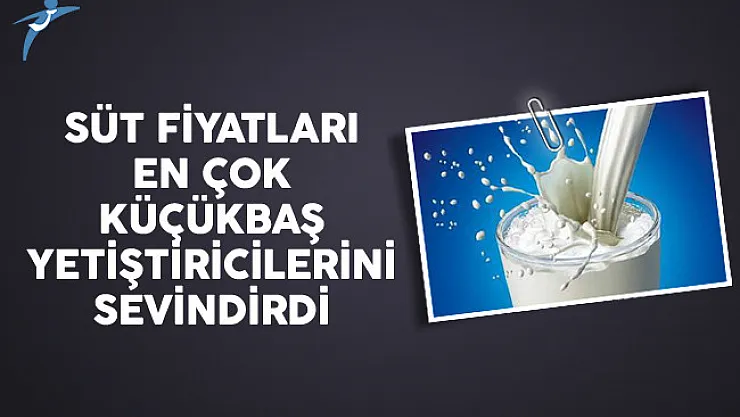 Süt Fiyatları En Çok Küçükbaş Yetiştiricilerini Sevindirdi