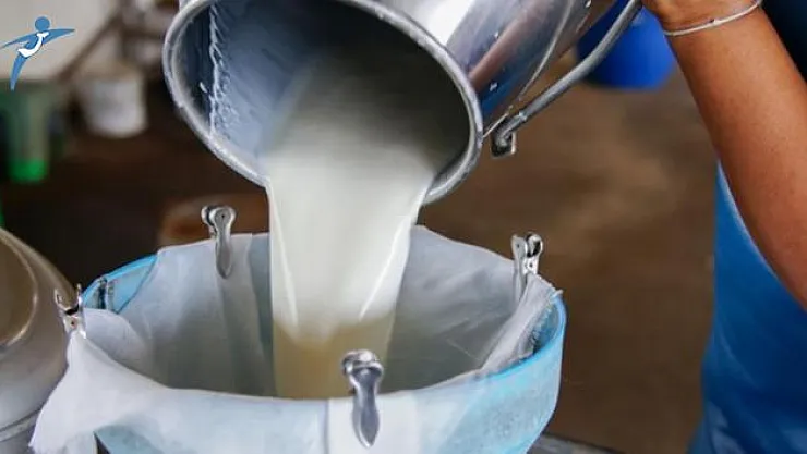 Süt Fiyatlarına Zam Geliyor! Ne Kadar Olacak?