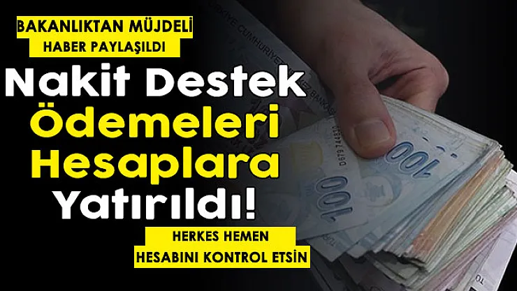 T. C. Kimlik Numarasına göre nakit paralar hesaplara yatırıldı! Herkes kontrol etsin: Bakanlık müjdeli haberi duyurdu