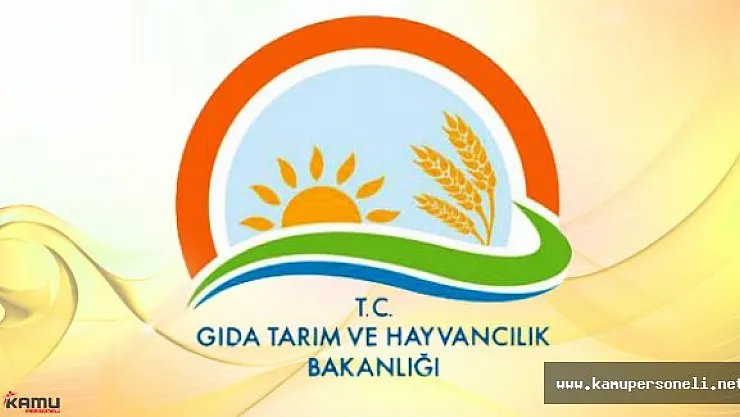 Tarım Bakanlığı Kurum İçi Atama Başvuruları Başladı
