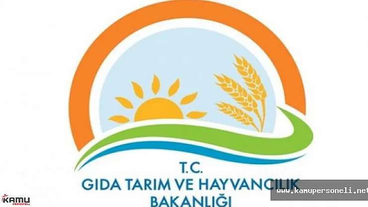 Tarım Bakanlığı Mühendis ve Veteriner Hekim Kadrosu İçin Duyuru Yayımladı