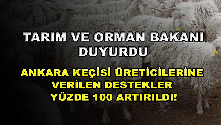 Tarım ve Orman Bakanı duyurdu: Ankara Keçisi üreticilerine verilen destekler yüzde 100 artırıldı!
