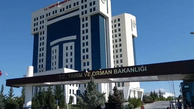 Tarım ve Orman Bakanlığı 16.00 – 23.00 arasında çalışabilecek işçi alımına başladı!