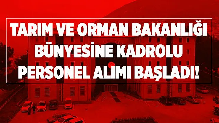 Tarım ve Orman Bakanlığı bünyesine kadrolu personel alımı başladı! Lise mezunu adaylar dikkat!