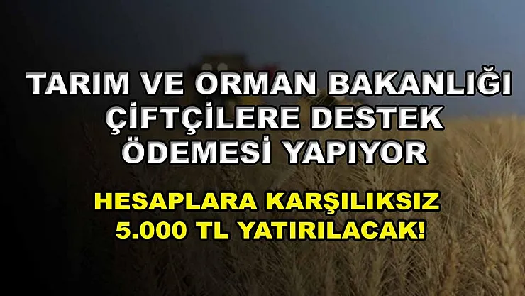 Tarım ve Orman Bakanlığı çiftçilere destek ödemesi yapıyor: Hesaplara karşılıksız 5.000 TL yatırılacak!