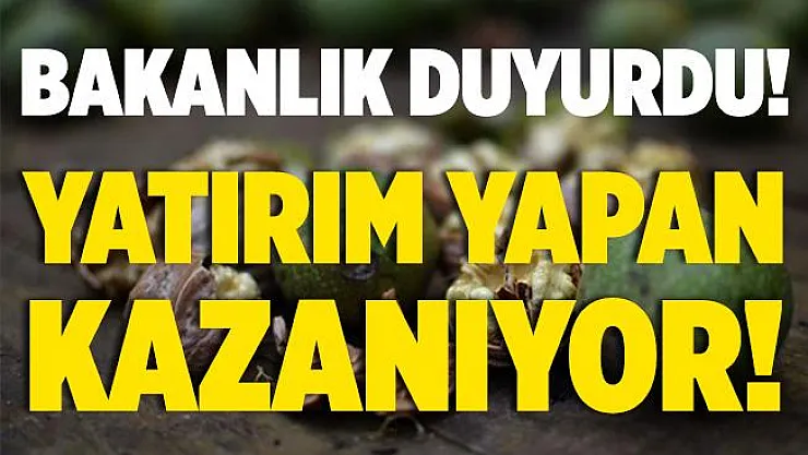 Tarım ve Orman Bakanlığı duyurdu! Bu üç ürüne yatırım yapan kazanıyor!