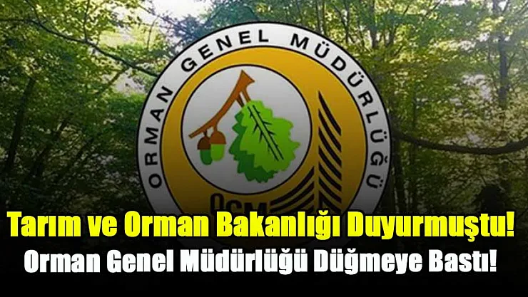 Tarım ve Orman Bakanlığı Duyurmuştu Orman Genel Müdürlüğü Düğmeye Bastı: O İl İçin Personel Alımı Yapılacak! Başvurular Devam Ediyor…